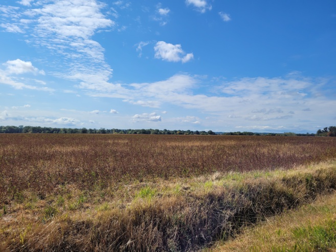Le projet en bref Le projet en bref